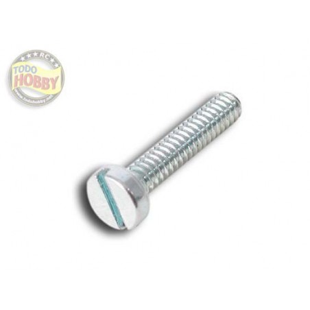 TORN. M4x30 INOX (10) *