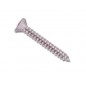 TORNILLO ROSCA CHAPA INOX. C/AVE. 3,9 X 19 (10)