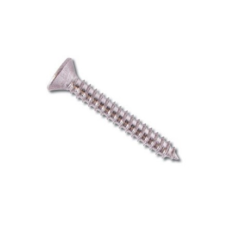 TORN. CHAPA INOX C/AVE 3,9 X 25 (10)