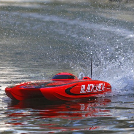 LANCHA CATAMARAN BLACKJACK 29 BRUSHLESS