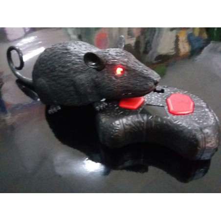 RATON RADIO CONTROL