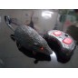 RATON RADIO CONTROL