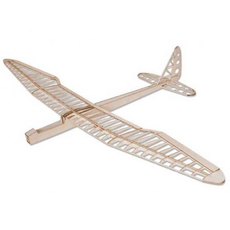 AVION EN KIT SUNNY BIRD 1600MM PICHLER