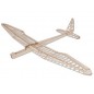 AVION EN KIT SUNNY BIRD 1600MM PICHLER