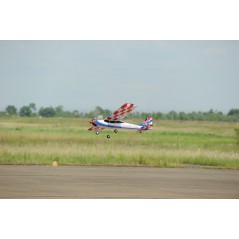 AVION CLASSIC 60 PHOENIX MODELS
