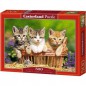PUZZLE THREE LOVELY KITTENS 500 PIEZAS CATORLAND