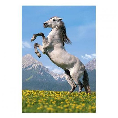 PUZZ PASO FINO 500PZAS CASTORLAND