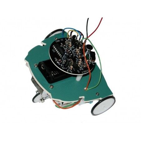 ROBOT TURNING FROG KIT SOLAR