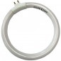TUBO FLUORESCENTE PARA LUPA 19401