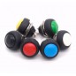 JUEGO INTERRUPTORES 12MM 12V1A 2PIN COLORES