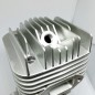 MOTOR DLE 55RA