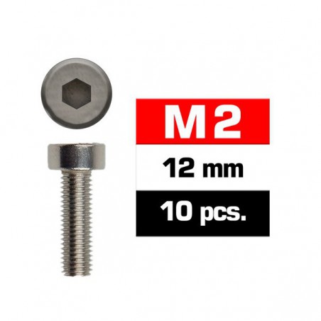 TORNILLOS M2X12MM CILINDRICO (10 unidades)