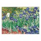 PUZZ RECUERDO DE IRIS/ VAN GOGH 