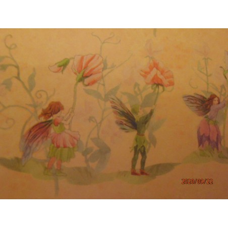 ZZ PAPEL HADAS CON GUISANTES