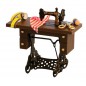 ZZ MAQUINA DE COSER CON ACCESORIOS
