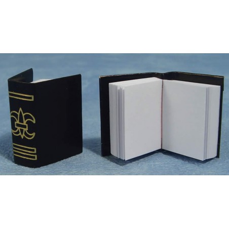 ZZ LIBROS 2 UNID.