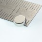 IMAN NEODIMIO 5X2MM (4UDS)