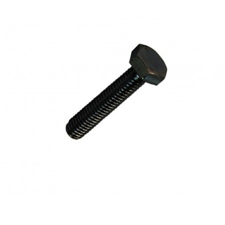 TORNILLO PAVONADO  6X40 (10)