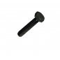 TORNILLO PAVONADO  6X40 (10)