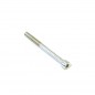 TORNILLO ALLE M5X65MM (10UDS)