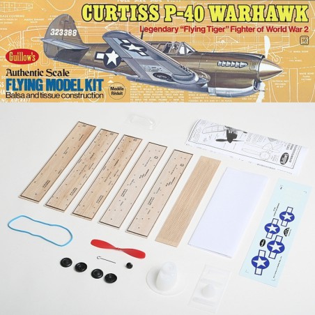 AVION CURTIS P-40 WARHAWK WILLOW