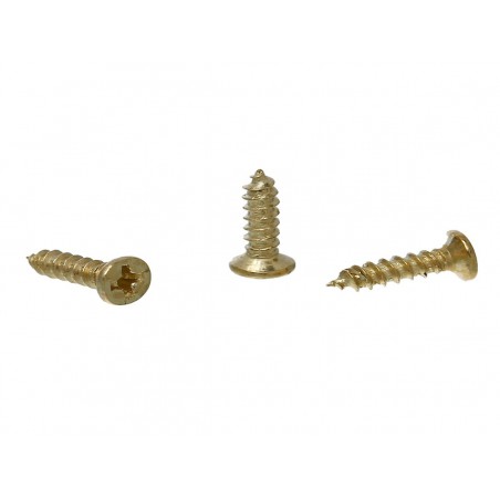 ZZ TORNILLO 5mm, 20P
