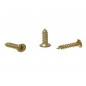 ZZ TORNILLO 5mm, 20P
