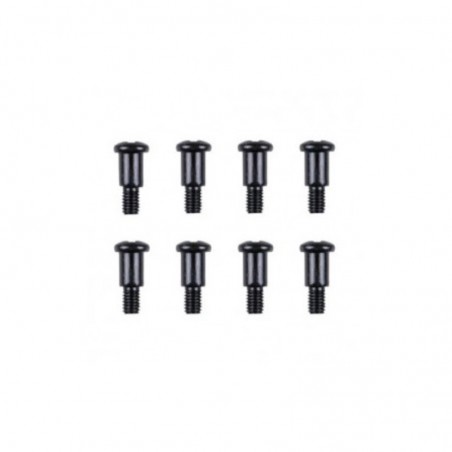 TORNILLO ESPECIAL PASADOR 3X10MM 12427 12428