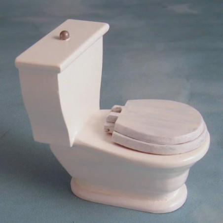 ZZ WC MODERNO