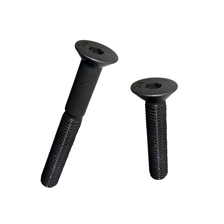 TORNILLO PAVONADO CABEZA ALLEN 4X25  (10)