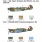MAQUETA AVION 1:48 P-40E/K KITTYHAWK ITALERI