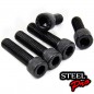 TORNILLO PAVONADO M5X30 (10) BLISTER