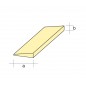 BORDE SALIDA 10X30X1000MM
