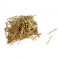 BC - CLAVOS LATON 12MM