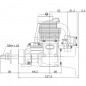 MOTOR SAITO FG - 17