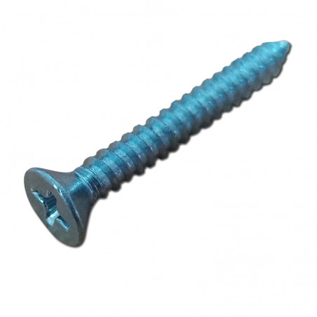 TORNILLO ROSCA CHAPA 4.2X32MM (10 UNIDADES) PROTECH