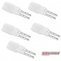 copy of CONECTOR TAMIYA MACHO (5UDS) ULTIMATE