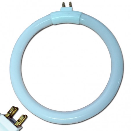 TUBO FLUORESCENTE CIRCULAR FCL/T4 11W