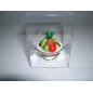 ZZ FRUTERO PORCELANA