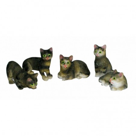 GATOS NEGROS (5)Venta Unidad