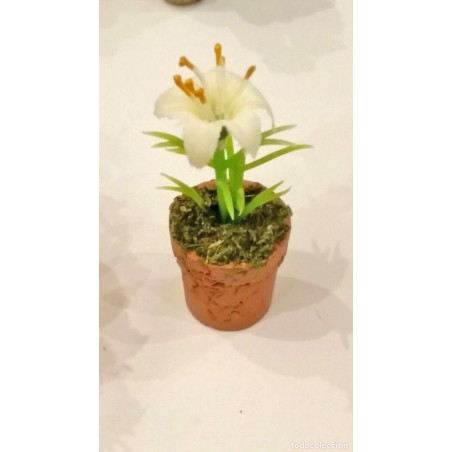 ZZ MACETA CON FLORES (6) V.U.