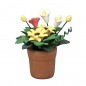 ZZ MACETA CON FLORES (6) V.U.