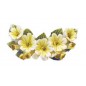 ZZ GUIRNALDA DE FLORES