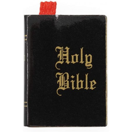 zz BIBLIA