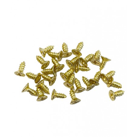 ZZ TORNILLOS 6MM  (20)