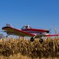 AVION PAWNEE BRAVE 20cc HANGAR 9 ARF