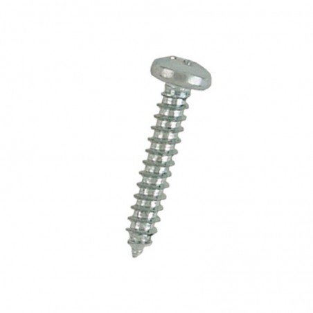 TORNILLO ROSCA CHAPA 2.9X9.5mm (10 unidades)