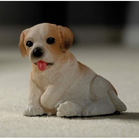 ZZ PERRO BLANCO Y MARRON