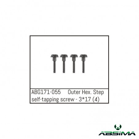TORNILLO HEXAGONAL M3X17 ABSIMA 1/14