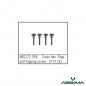 TORNILLO HEXAGONAL M3X17 ABSIMA 1/14